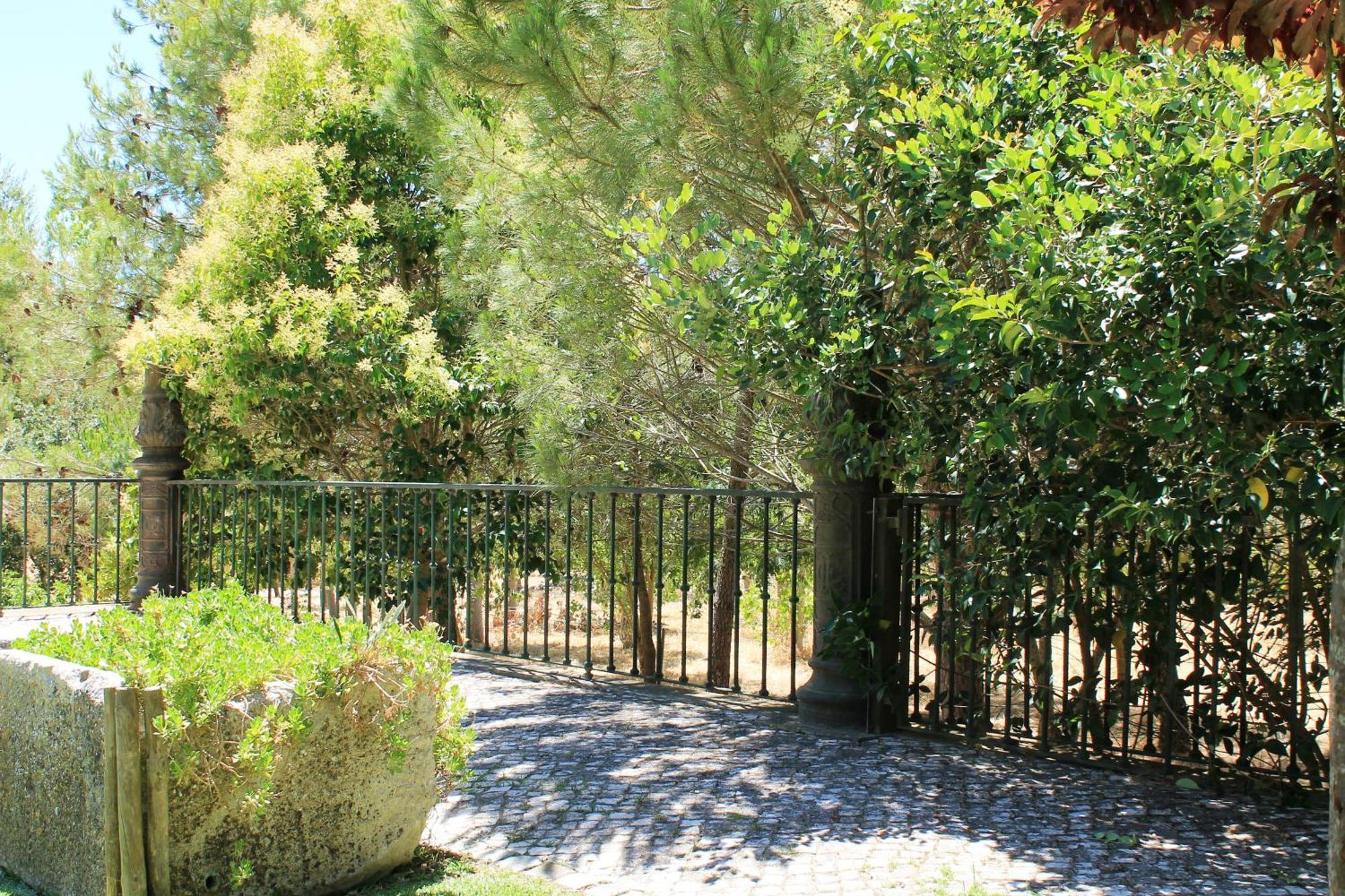 Quinta Do Casal De Santo Antonio Villa Alenquer Buitenkant foto